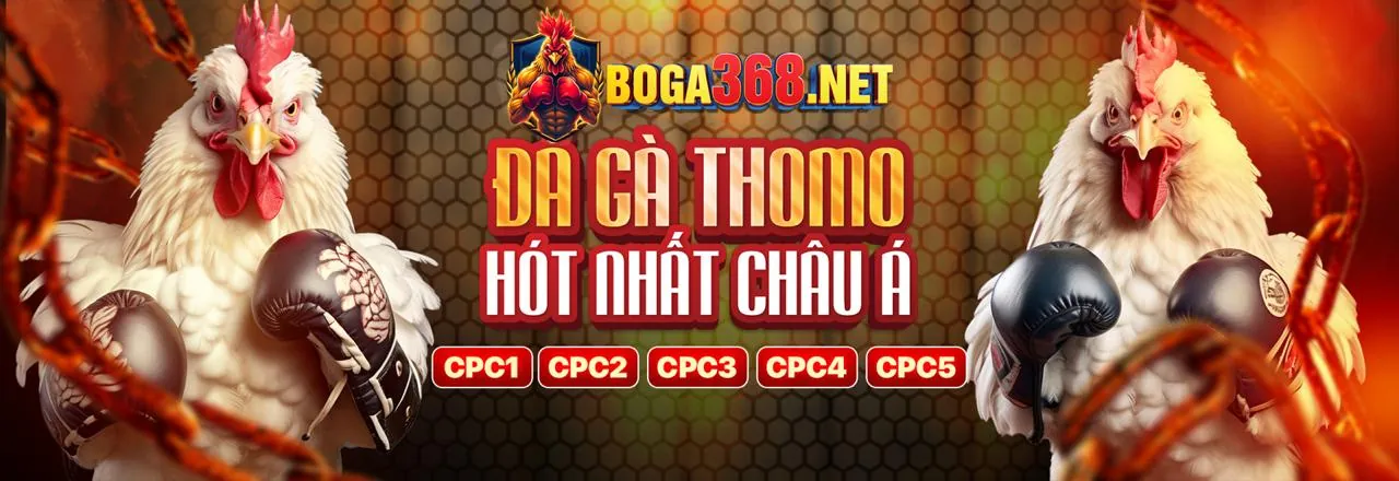 Sân vận động với ánh đèn rực rỡ, biểu tượng cho cá cược thể thao đỉnh cao tại 7clubs nhà cái